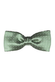 Бабочка (1309/12)