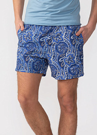 Легкие шорты голубого цвета с принтом (A1505)