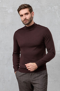 Водолазка коричневого цвета с воротником-стойкой (63016/22025 BROWN)