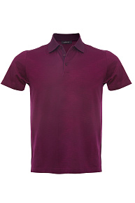 Хлопковое поло бордового цвета  (4020 DW Bordo)