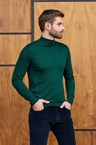 Водолазка зеленого цвета с воротником-стойкой  (63016/22025 GREEN)